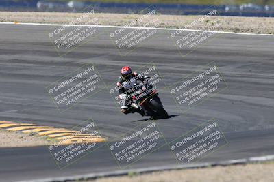 media/Apr-14-2024-SoCal Trackdays (Sun) [[70f97d3d4f]]/5-Bowl Exit (1020am)/